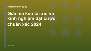 Read more about the article Giải mã kèo tài xỉu và kinh nghiệm đặt cược chuẩn xác 2026