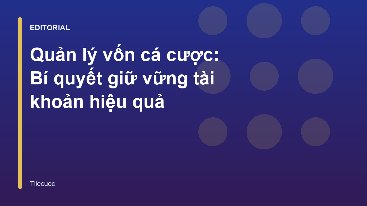 Biểu đồ quản lý vốn cá cược hiệu quả